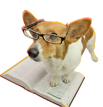 Loki, Chief Morale Officer